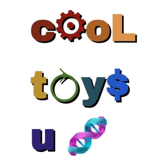 an image of the Cool Toys logo